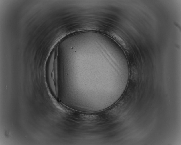 X0000092281039200710051140