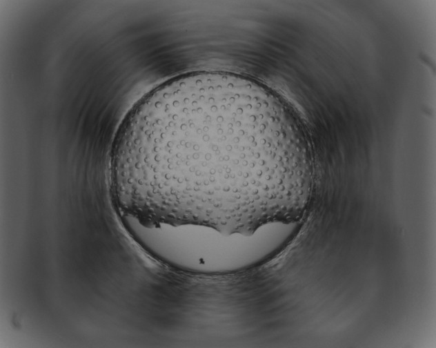 X0000092281040200710051140