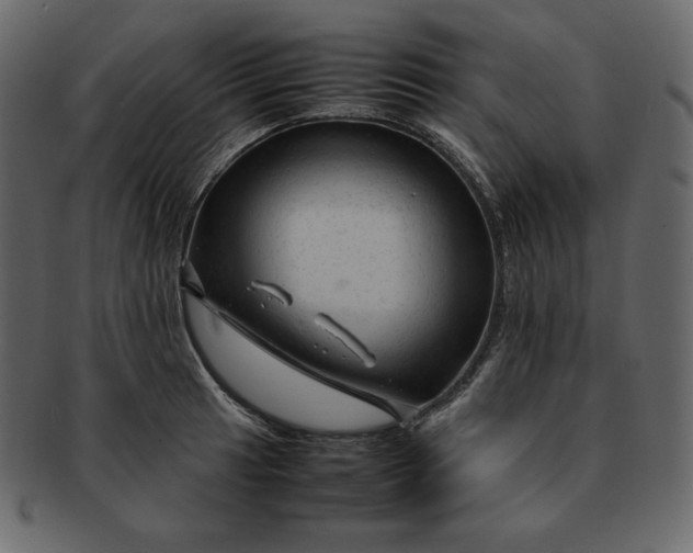 X0000092281041200710051140