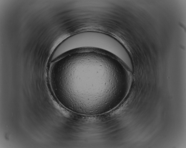 X0000092281042200710051140