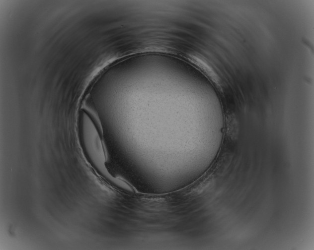 X0000092281043200710051140