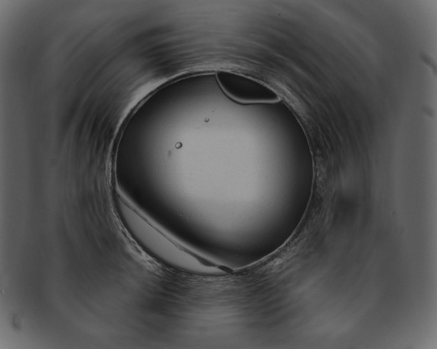 X0000092281044200710051140