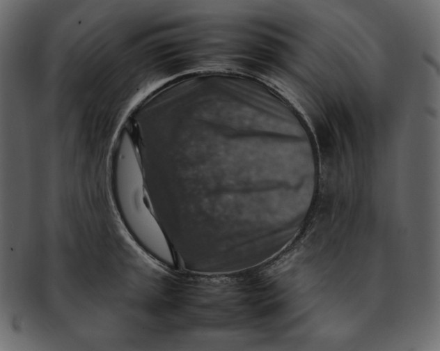 X0000092281045200710051140