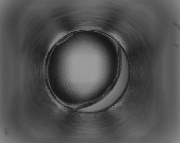 X0000092281046200710051140