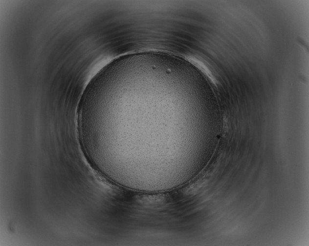 X0000092281047200710051140