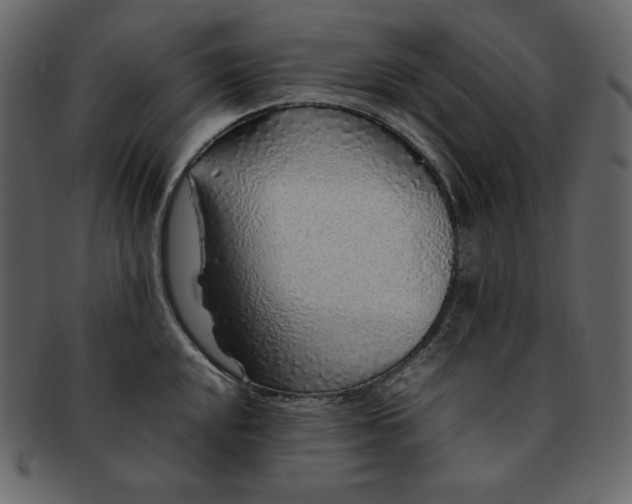 X0000092281048200710051140