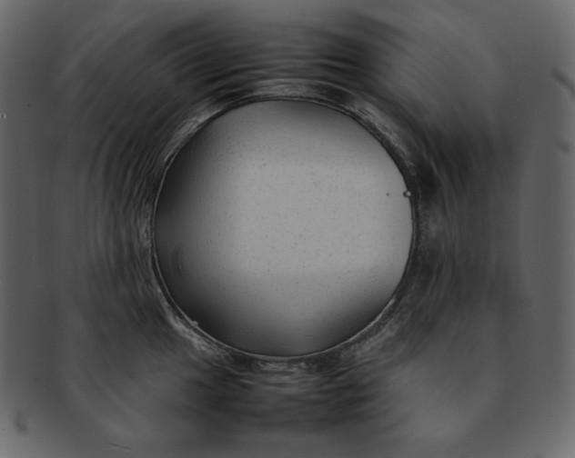 X0000092281049200710051140