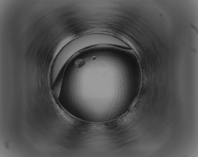 X0000092281050200710051140