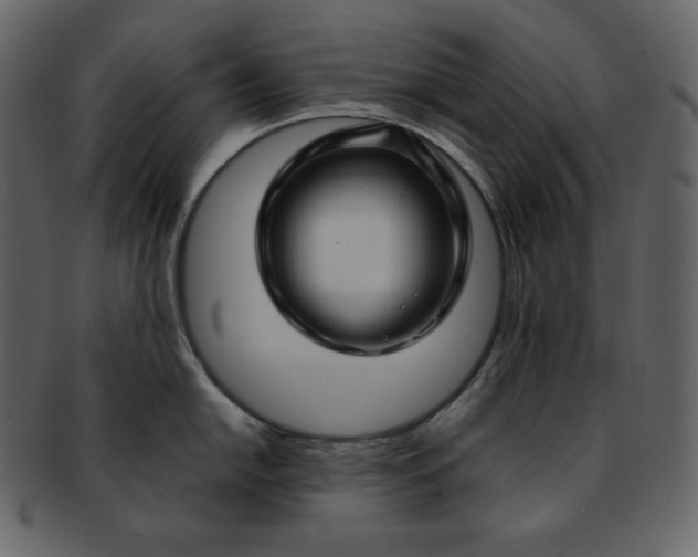 X0000092281054200710051140