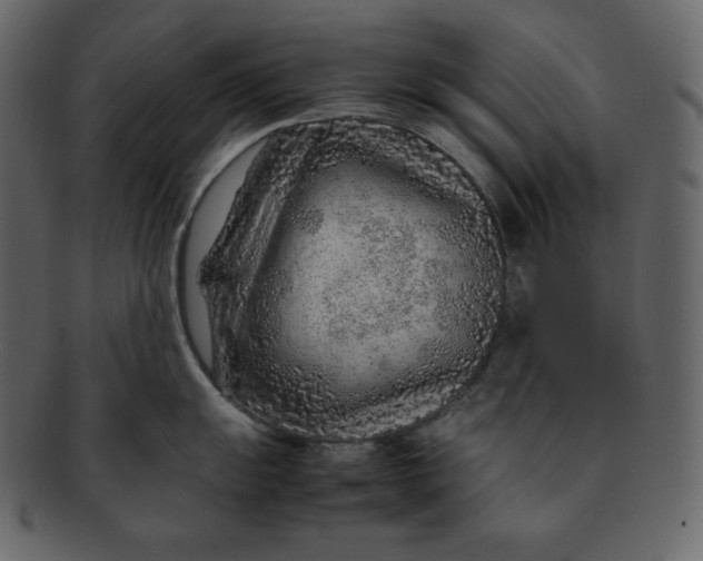 X0000092281055200710051140