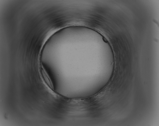 X0000092281056200710051140