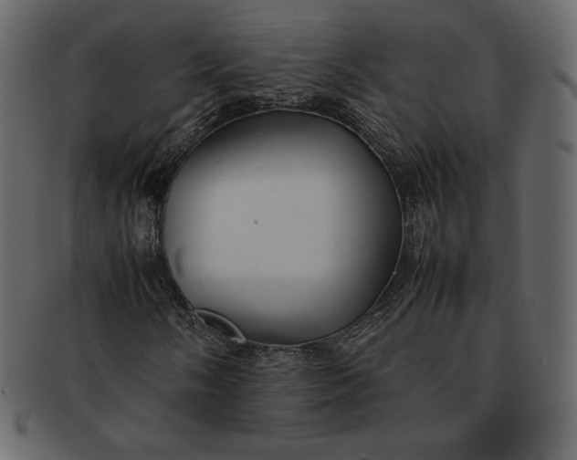 X0000092281058200710051139