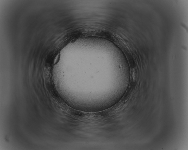 X0000092281059200710051139