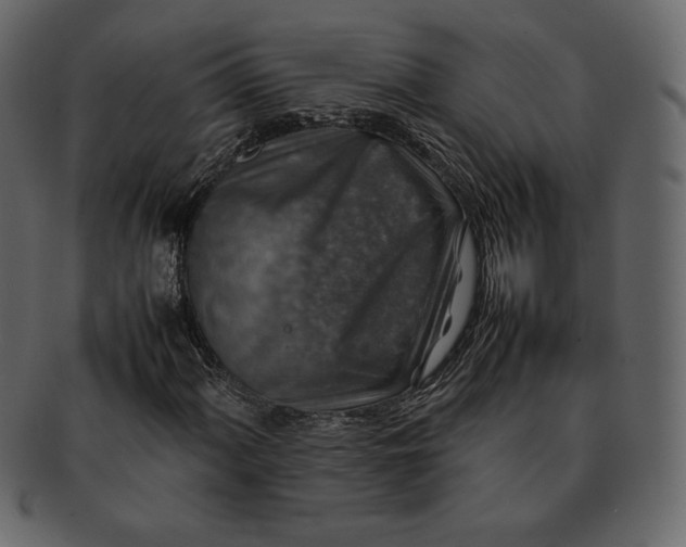 X0000092281060200710051139