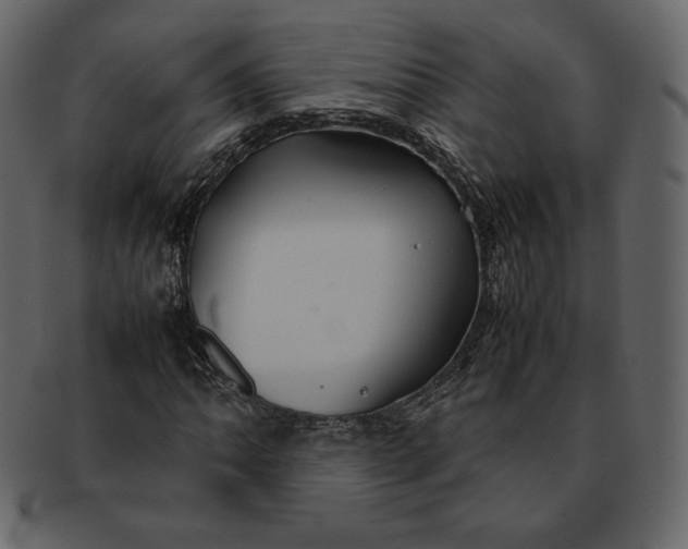 X0000092281062200710051139