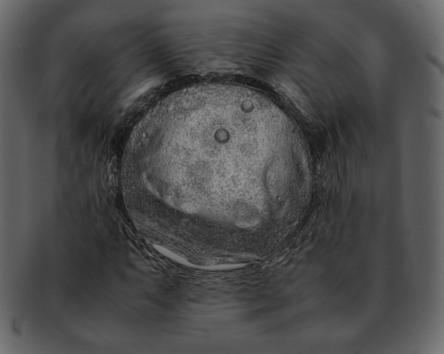 X0000092281063200710051139