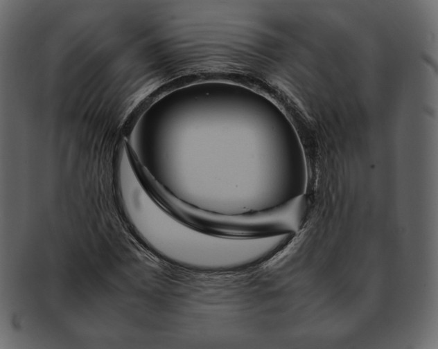 X0000092281065200710051139