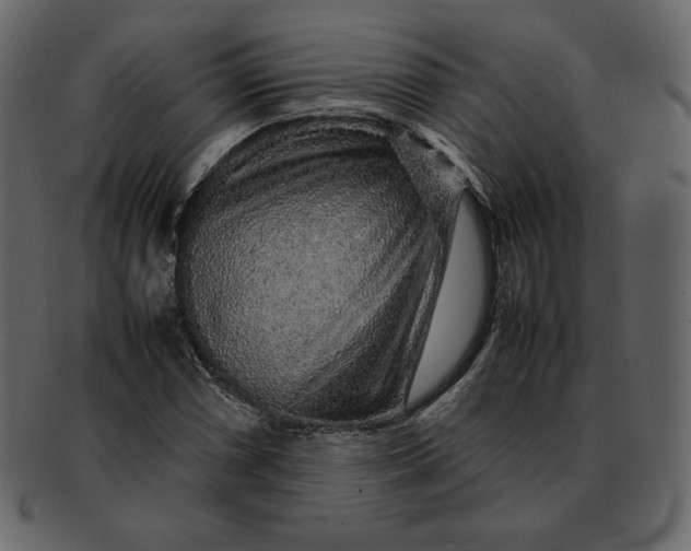 X0000092281066200710051139