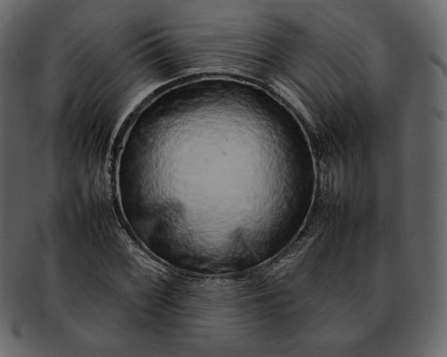 X0000092281068200710051139