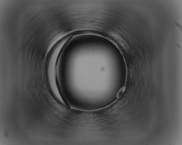 X0000092281069200710051139