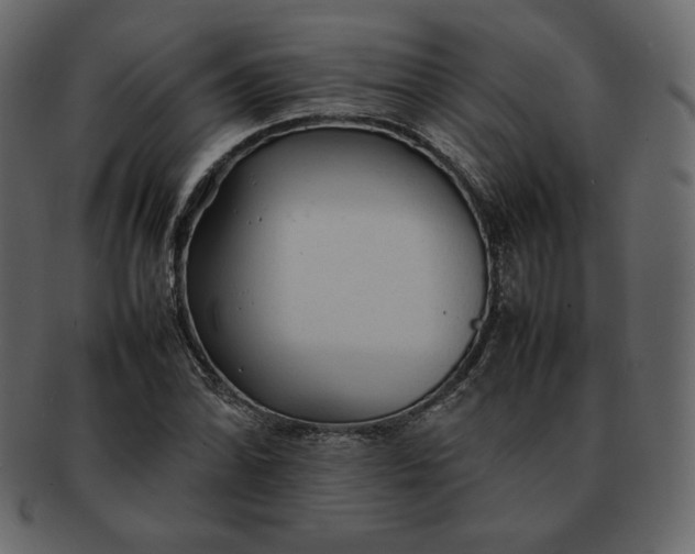 X0000092281070200710051139