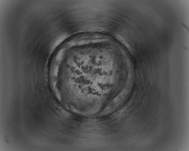 X0000092281071200710051139