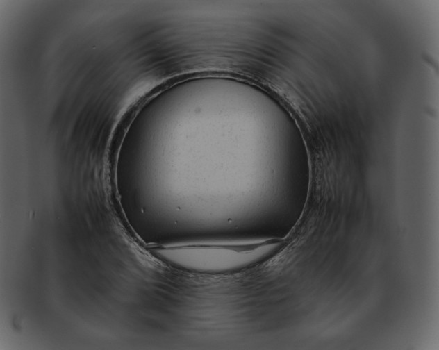 X0000092281072200710051139