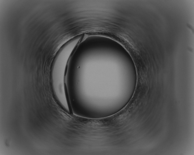 X0000092281073200710051139