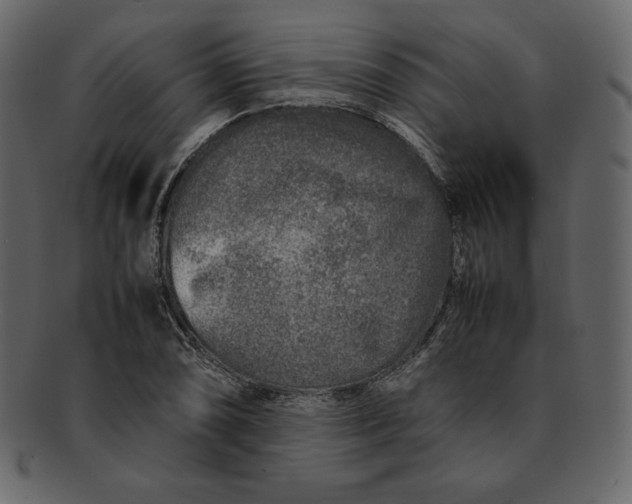 X0000092281074200710051139