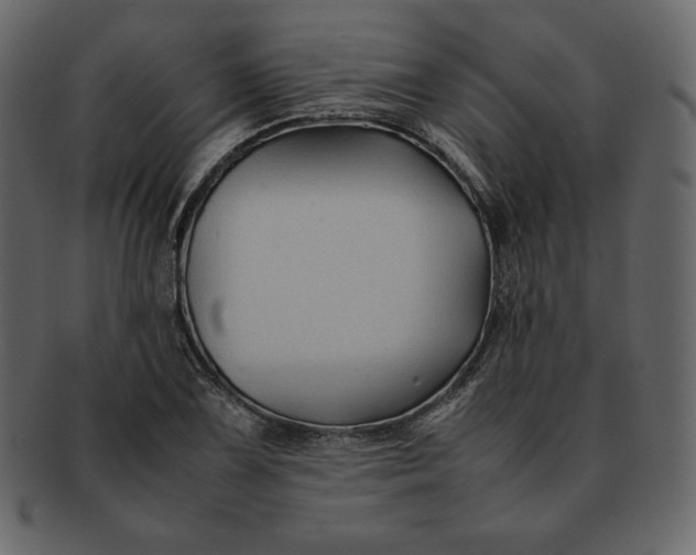 X0000092281075200710051139