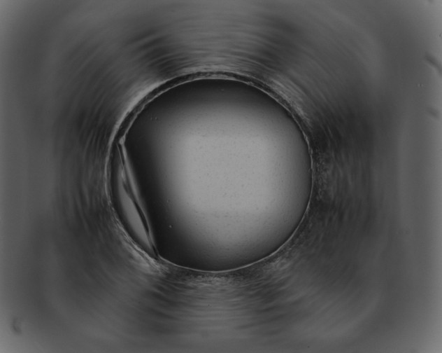 X0000092281076200710051139