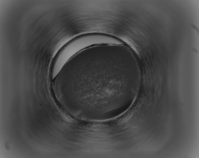 X0000092281077200710051139