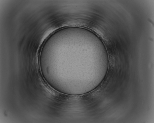 X0000092281078200710051139