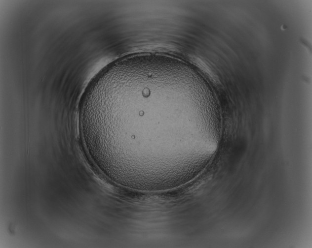 X0000092281079200710051139