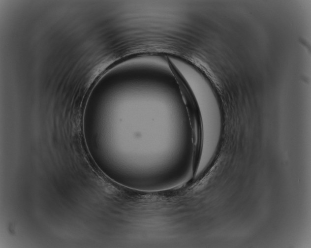 X0000092281081200710051139