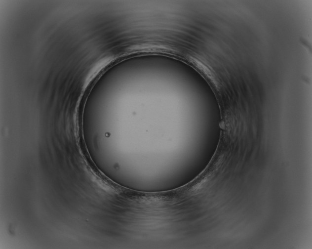 X0000092281082200710051139