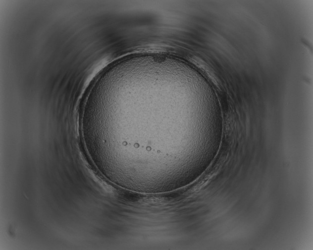 X0000092281083200710051139