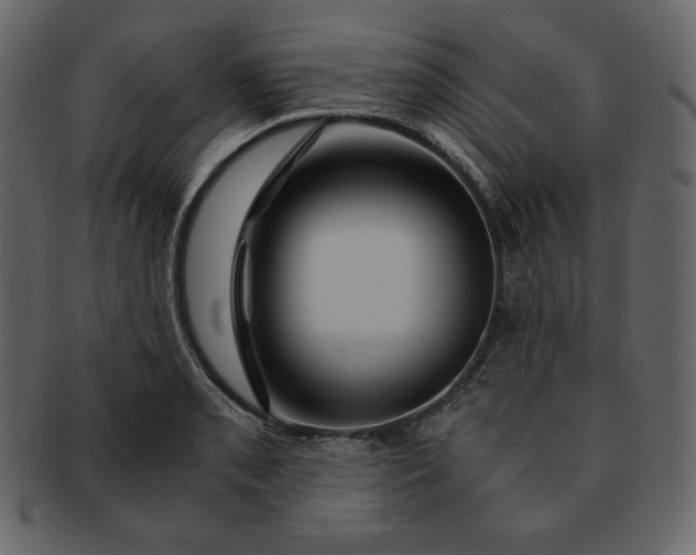 X0000092281085200710051139