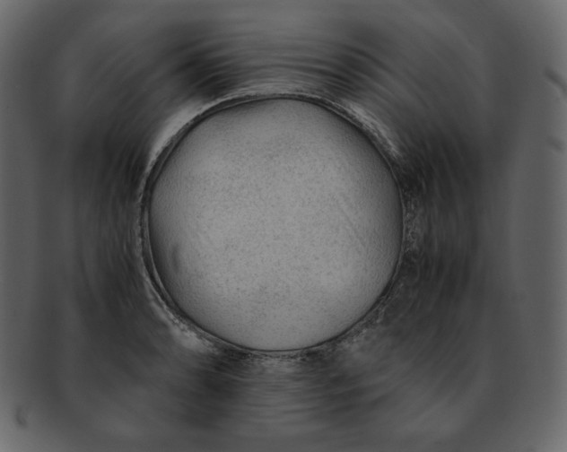 X0000092281086200710051139