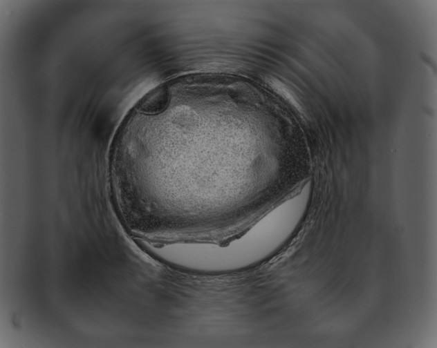 X0000092281087200710051139