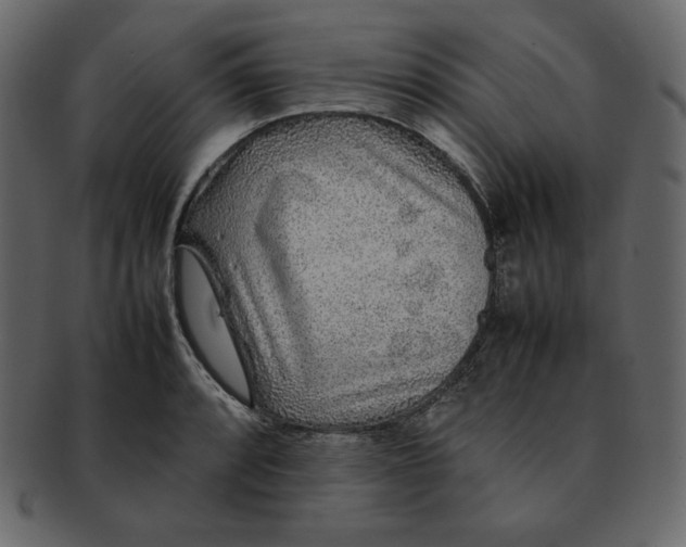 X0000092281088200710051139