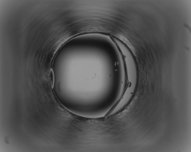 X0000092281089200710051139