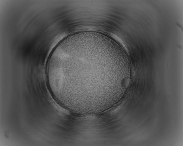 X0000092281090200710051139