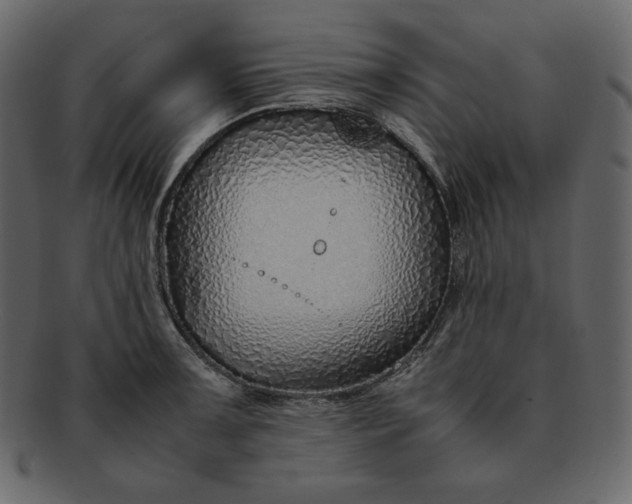 X0000092281091200710051139