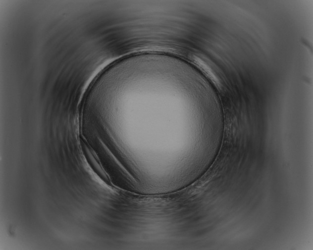 X0000092281092200710051139