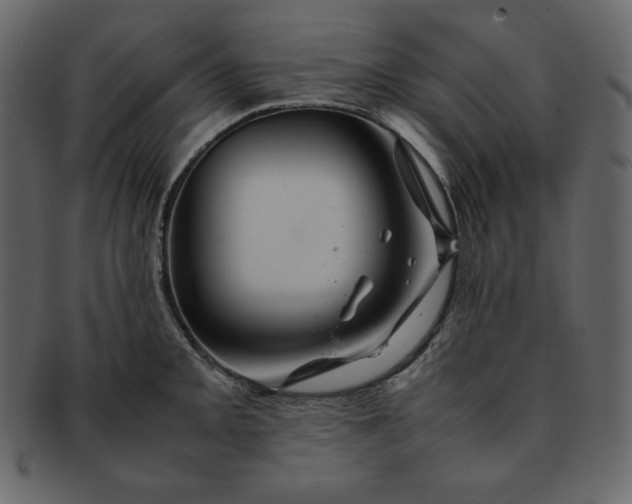 X0000092281093200710051139