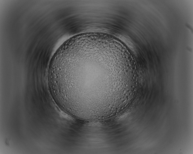 X0000092281094200710051139