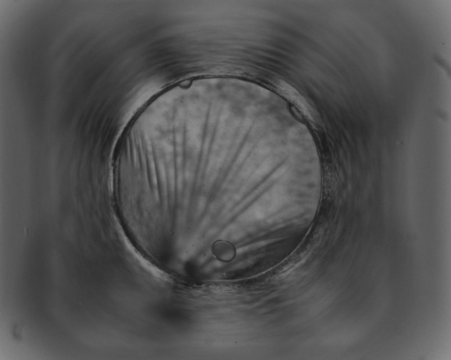 X0000092281095200710051139