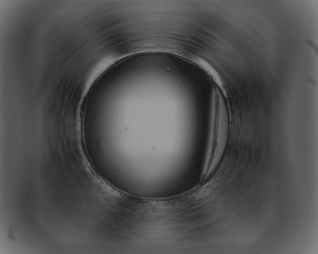 X0000092281096200710051139