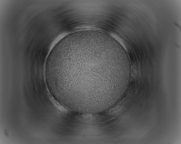 X0000092281098200710051139